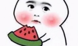 抖音小裁判吃瓜娱乐版,吃瓜娱乐版，揭秘网红圈幕后故事