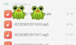 娱乐吃瓜音频在哪找到的,娱乐吃瓜音频的神秘来源