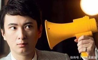 娱乐圈吃瓜人名叫什么,揭秘幕后真相的神秘推手